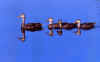 Mottled Ducks 4 in a Line